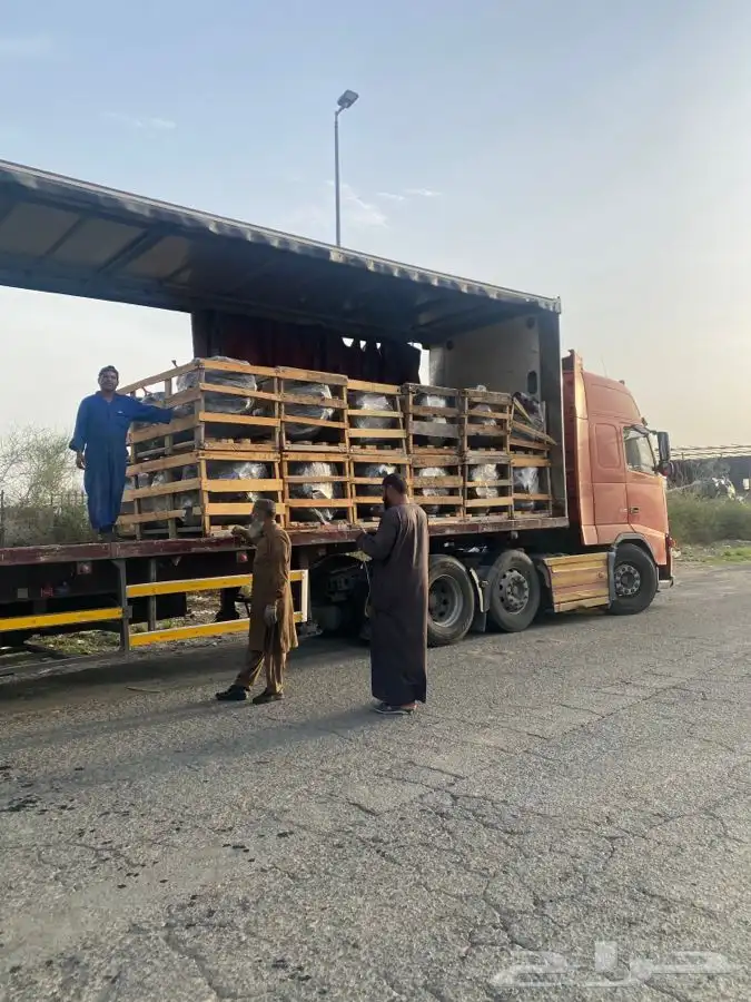 مكاين و قيرات فورد جميع الموديلات 9