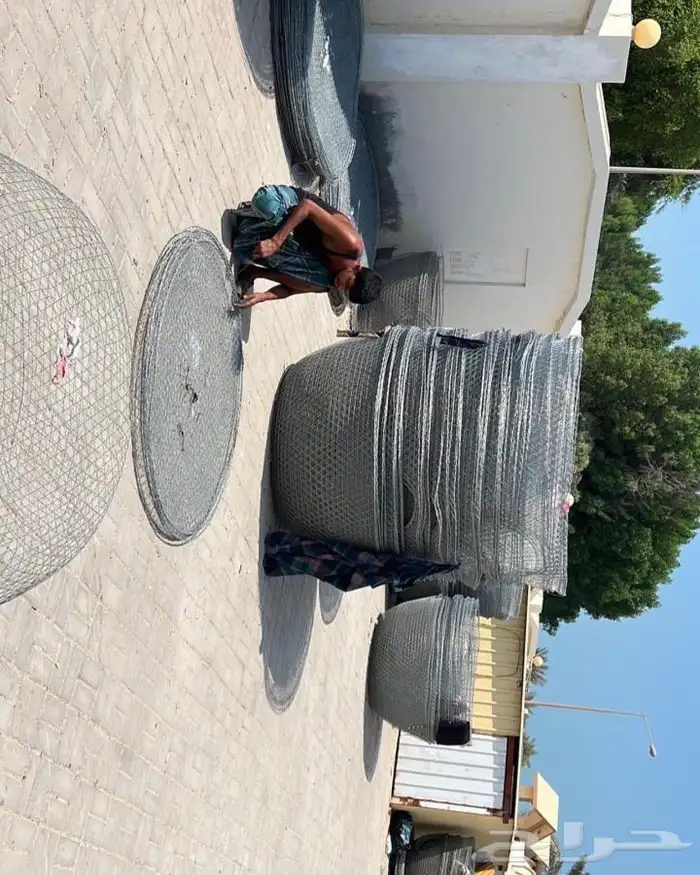 قرقور او صخاوي لصيد الاسماك 9