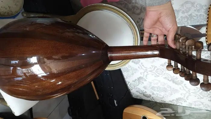 عود عراقي عود سوري عود بحريني عود مصري 4