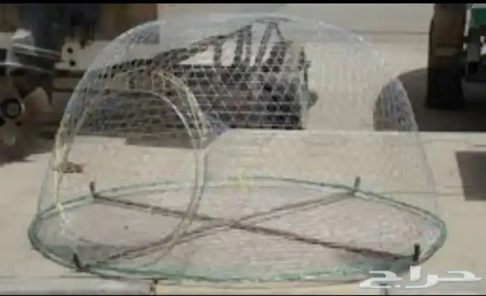 قرقور او صخاوي لصيد الاسماك 11