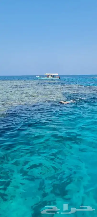 رحلات بحريه الرايس 4