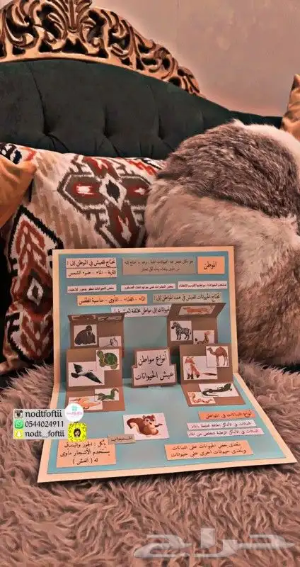 ملف انجاز مطويات توزيعات حسب الحرف جدة 9