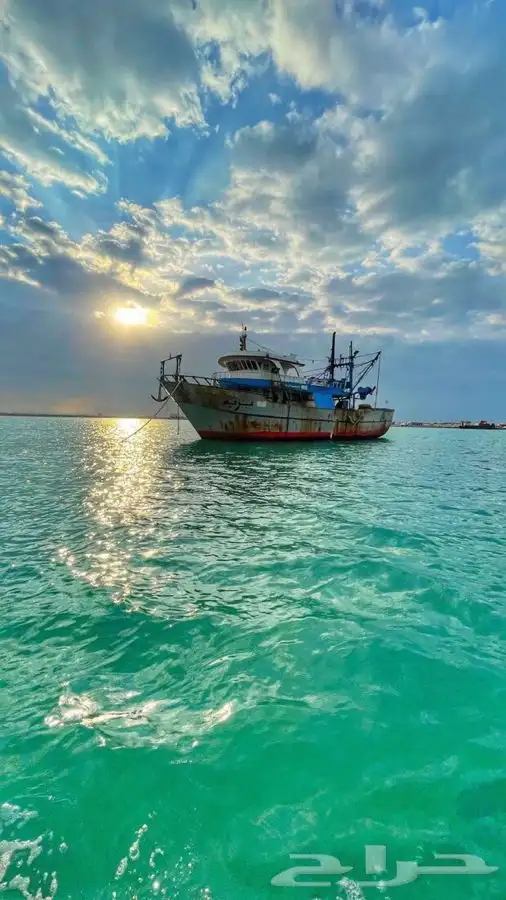 رحلات بحريه الرايس 26