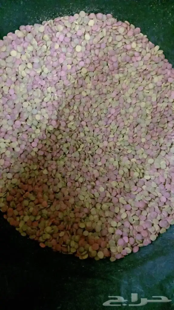 سوق الطيور 36