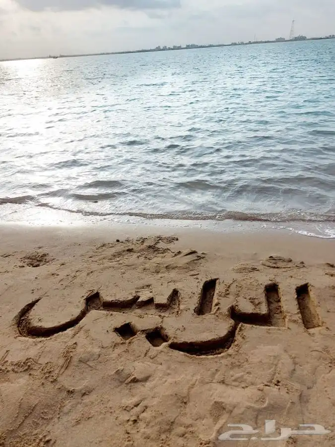 رحلات بحريه الرايس 28