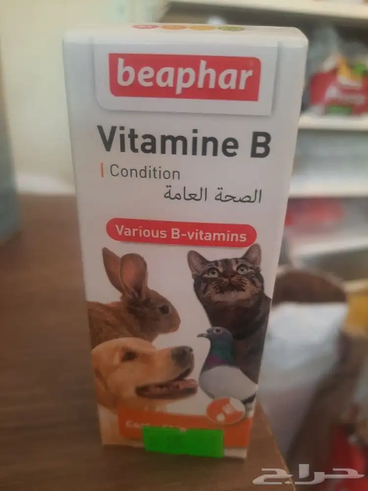 فتمين فرت فيت وامن فيت بادجي كنيور كويكر كاسكو مكاو 6