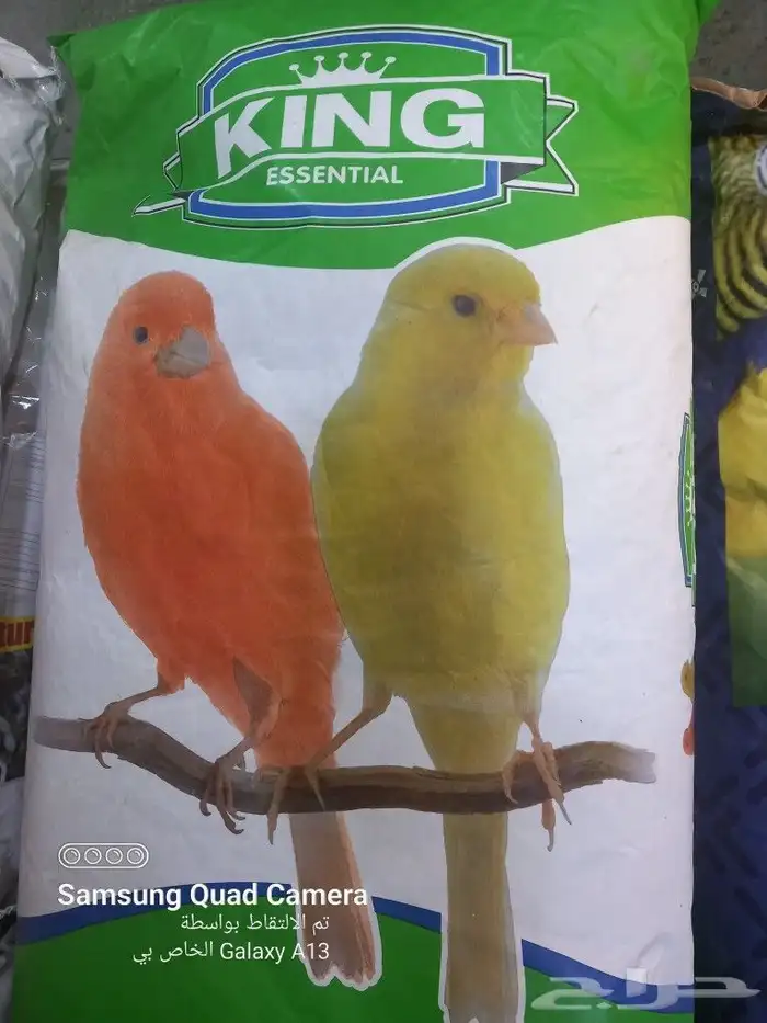 سوق الطيور 41