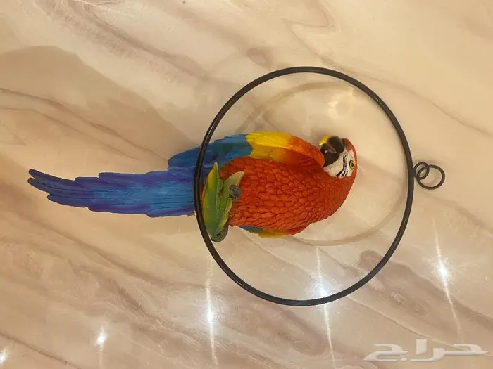 لوحات جدارية و مجسم جداري 1