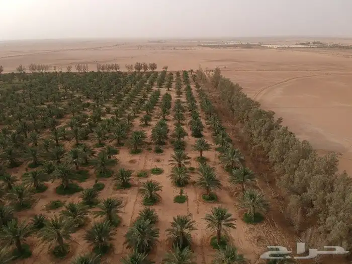 مصور محترف الرياض المزاحمية الخرج الدلم الدرعية الدمام 15
