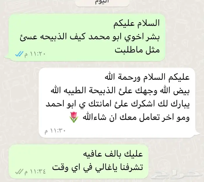 ذبايح طليان حريه ذبح توصيل لباب بيتك لثلاجة وللمناسبة 43