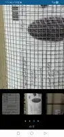 سوق الطيور 26