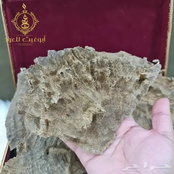 عود هندي تشار فاخر 3