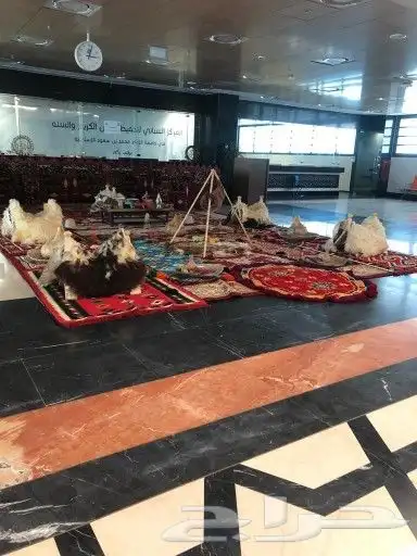 جلسات شعبية 15