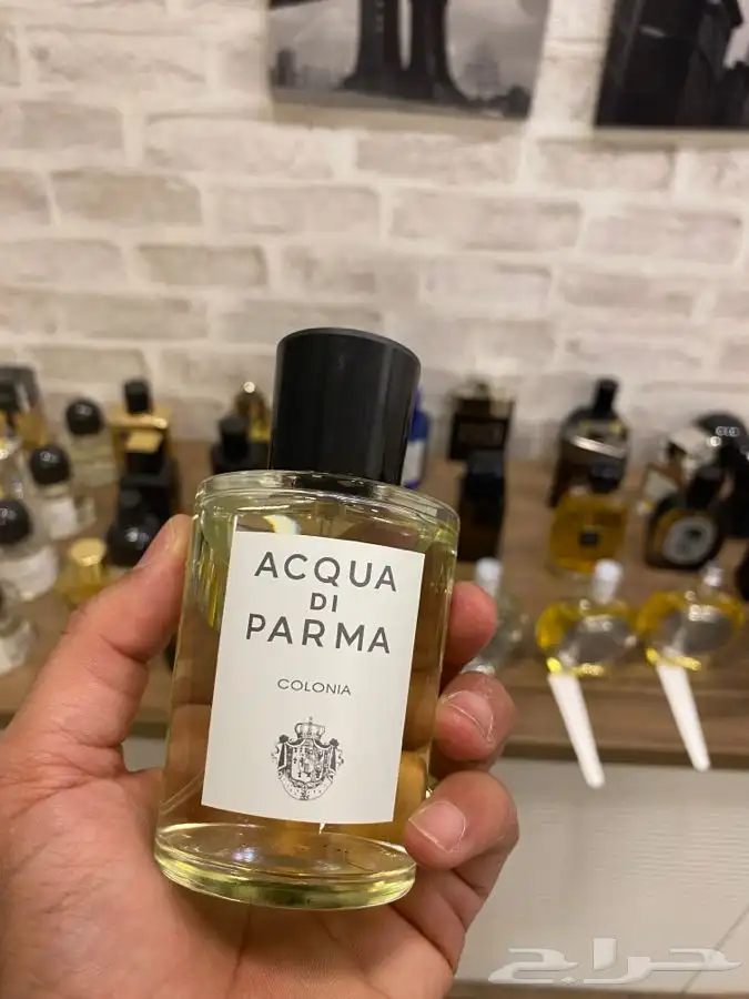 عطور النيش والعطور الحصريه تحت سقف واحد 14