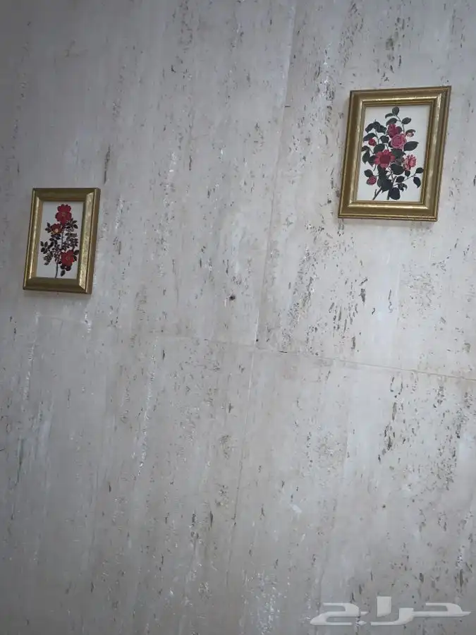 لوحتان جميلتااان صغيرتان طباعة ببرواز ذهبي طافي 9