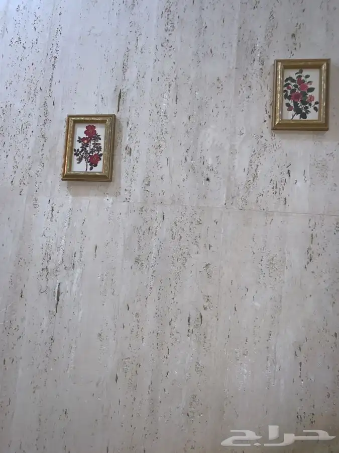 لوحتان جميلتااان صغيرتان طباعة ببرواز ذهبي طافي 3
