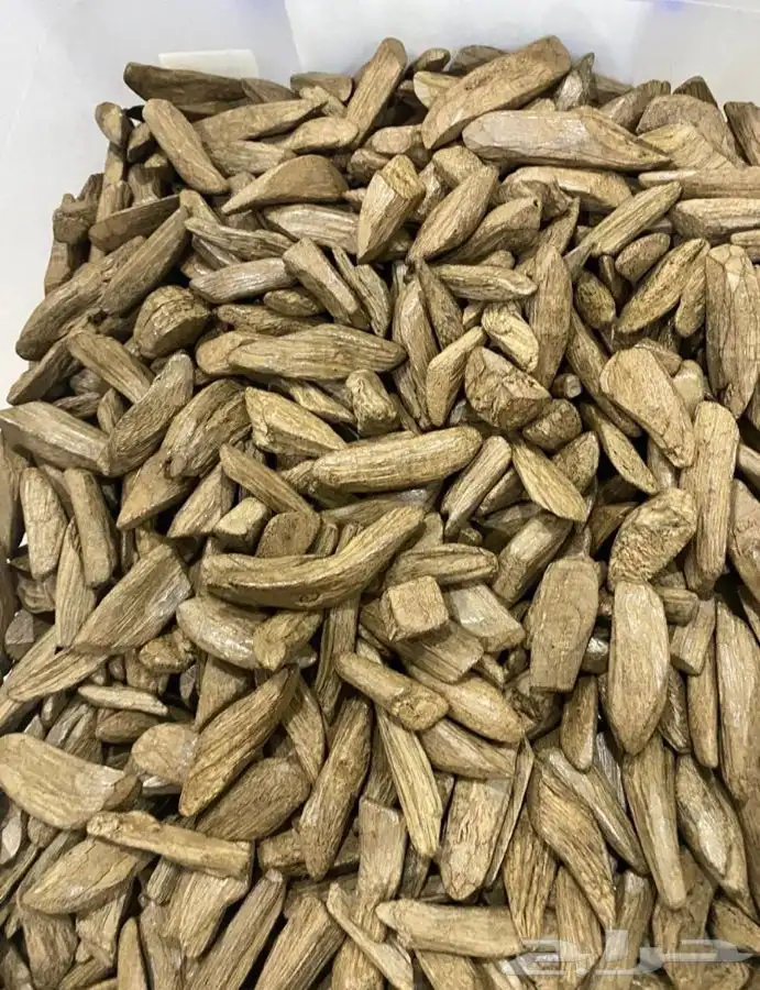 عود مروكي البيت محسن فاخر جدا 0