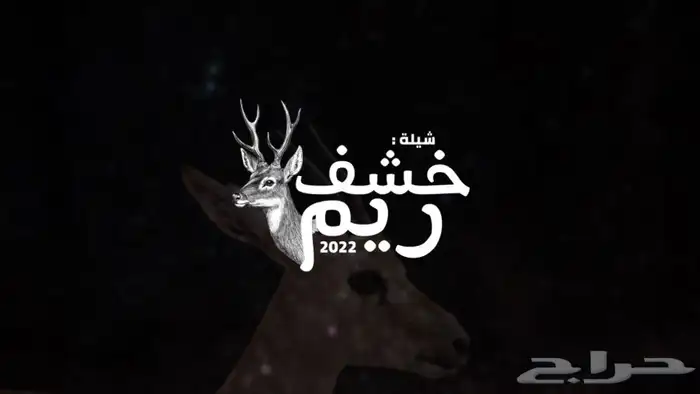 مصمم شيلات محترف 0