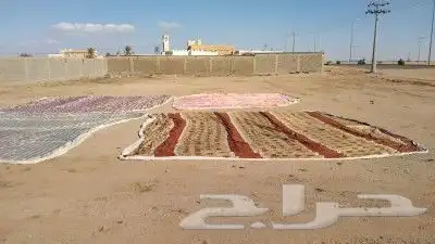 سقف خيمه جديد يصلح حق حلال 6