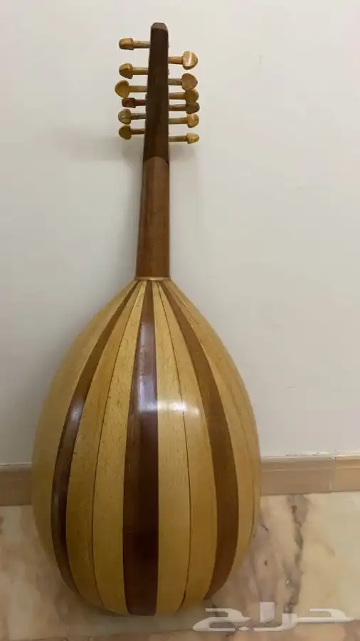 عود مصري 1