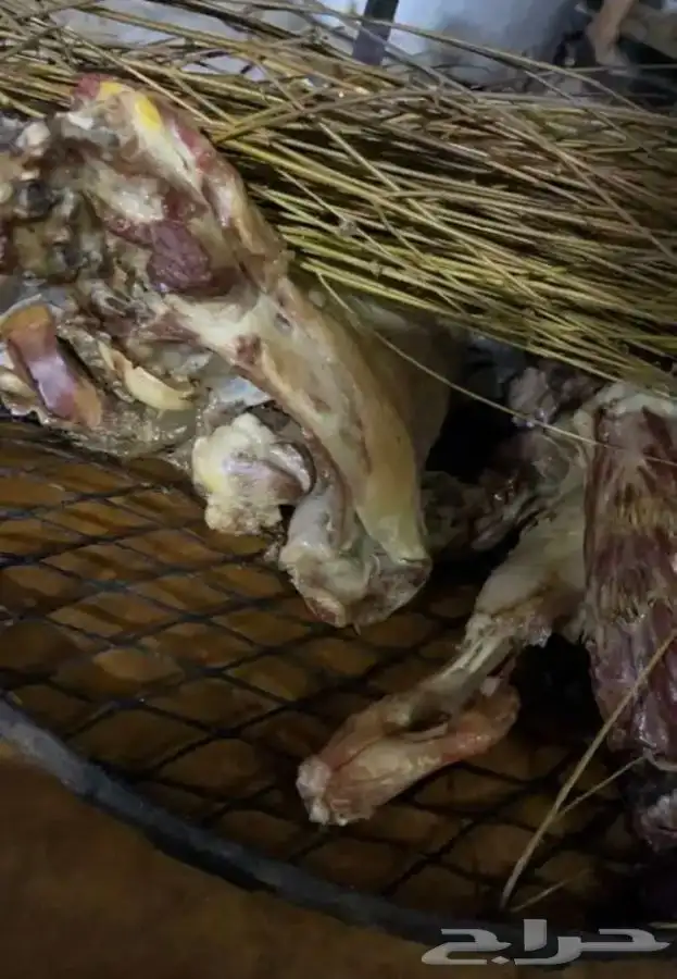 ذبايح تيوس وطليان كبار وسط وصغير مع الطبخ حنيذ بالمرخ 2