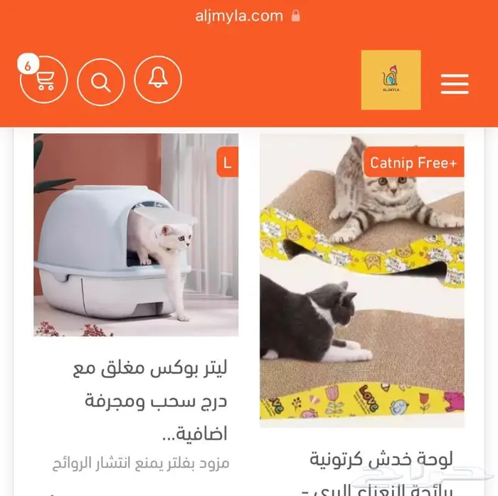 قطط كتن اكل جاف اكل رطب مكافئات رمل قطط 7