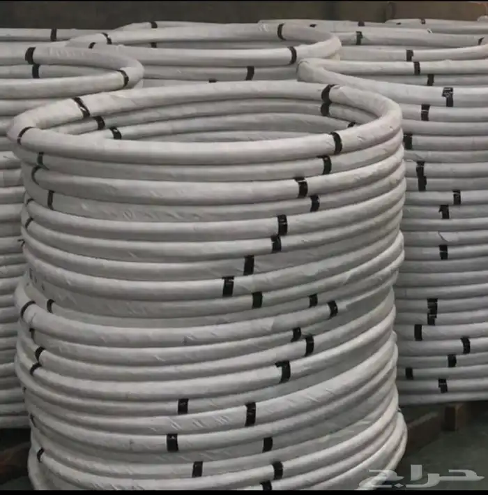 قرقور او صخاوي لصيد الاسماك 12