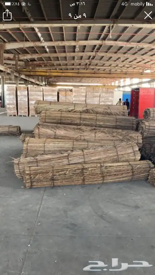 رولات سعف للجلسات 5