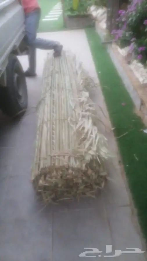 رولات سعف للجلسات 6