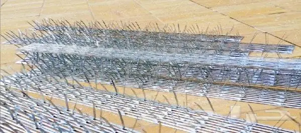 طارد الحمام بالمدينة المنورة 0536591696 7