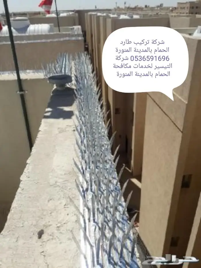 طارد الحمام بالمدينة المنورة 0536591696 5