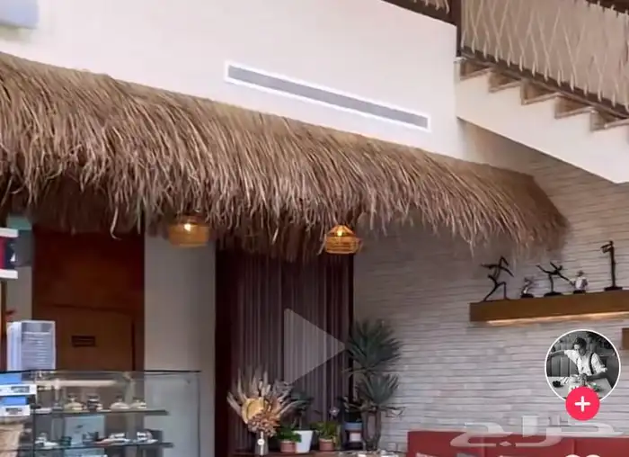 رولات سعف للجلسات 1