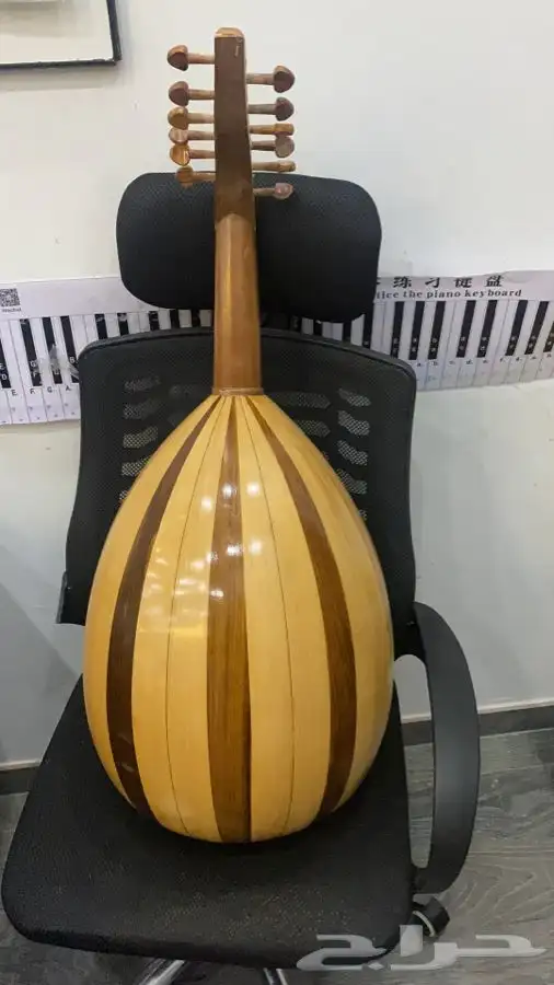 عود مصري 1
