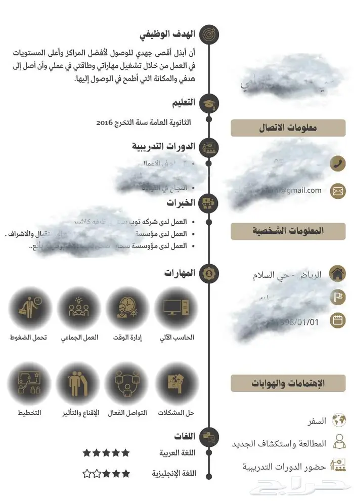 تصميم سيرة ذاتية إحترافية -نظام ATS 1