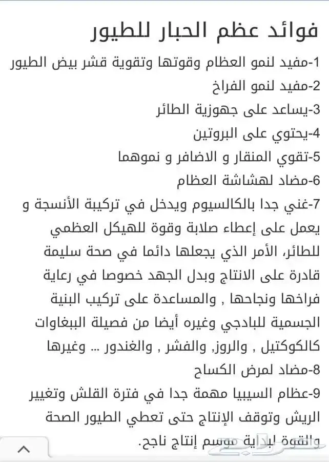 عظم حبار للطيور حجم سوبر جامبو جمله فقط 5