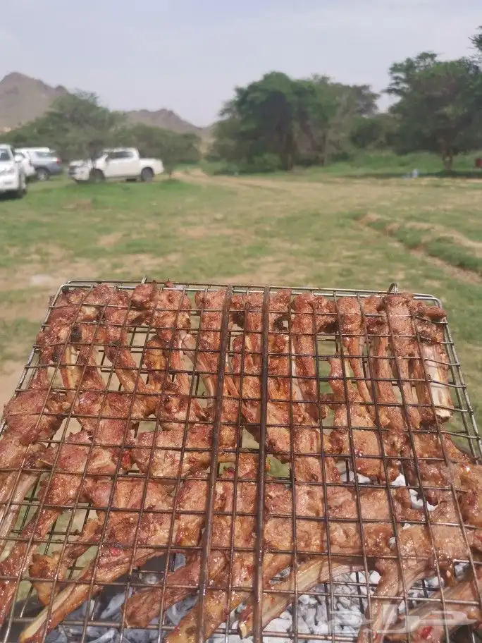تجهيز شوي خارجي بأيادي سورية داخل وخارج أبها 40