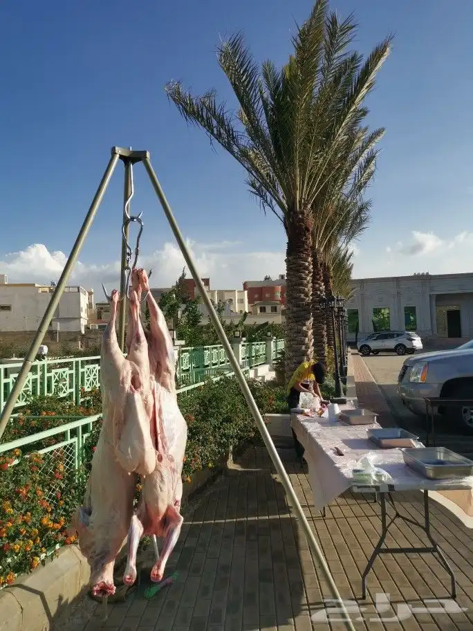 مشاوي شامية خارجية داخل وخارج (أبها) 55
