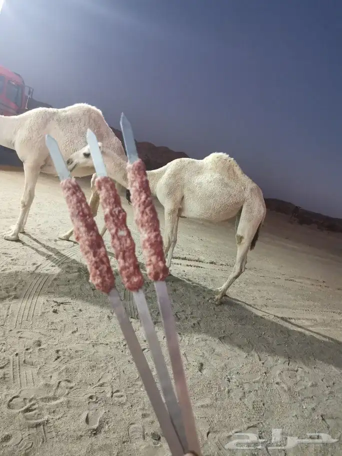 تجهيز مشاوي شامية خارجية داخل وخارج أبها 79