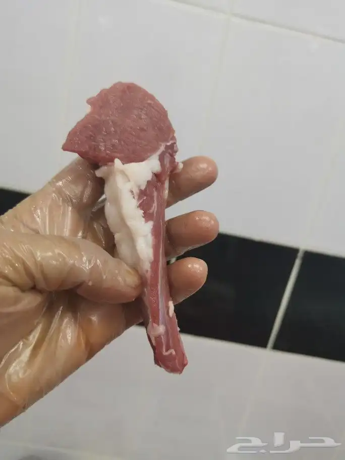 تجهيز مشاوي شامية خارجية داخل وخارج أبها 92