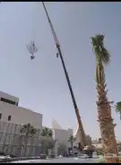 تأجير كرينات ورافعات شوكية 11