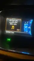 دودة دركسيون فورت تورس 10