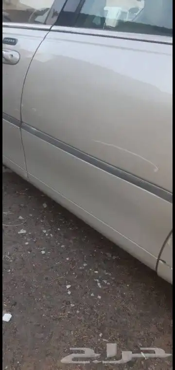 مبيوع الله يبارك له 22