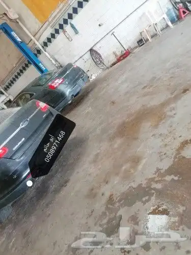 دودة دركسيون فورت تورس 22