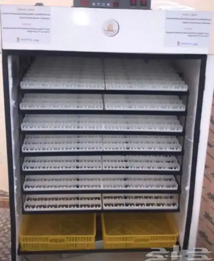 فقاسات الياسريه 0