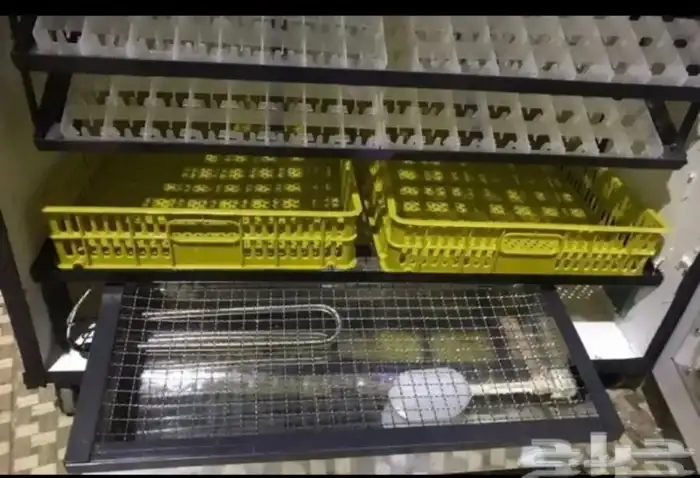 فقاسات الياسريه 2