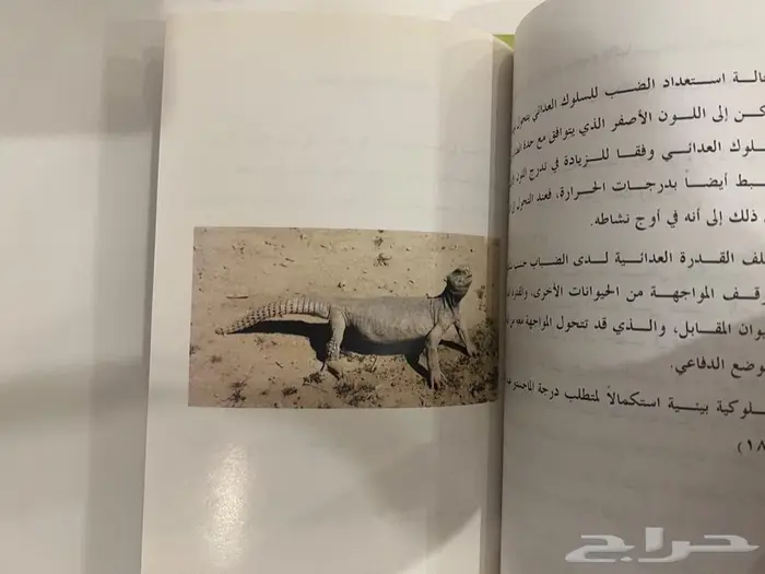 كتاب المستحب مما قيل في الضب 1
