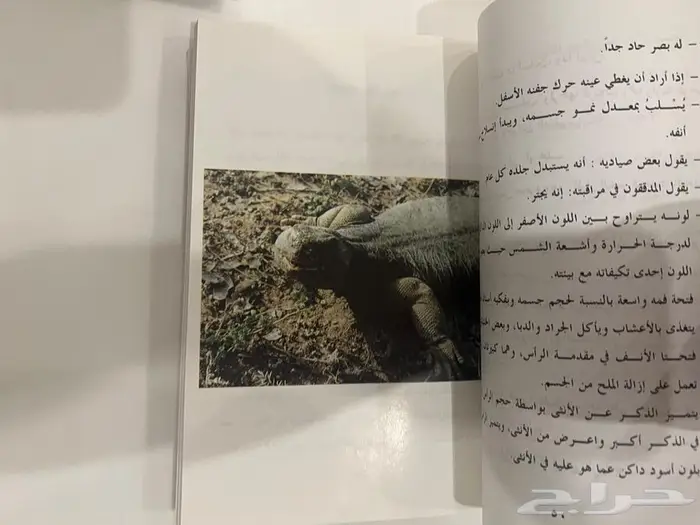 كتاب المستحب مما قيل في الضب 2