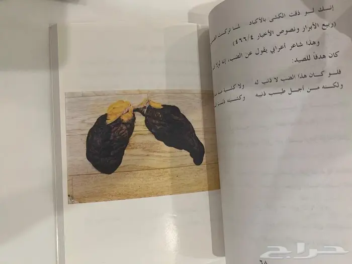 كتاب المستحب مما قيل في الضب 3