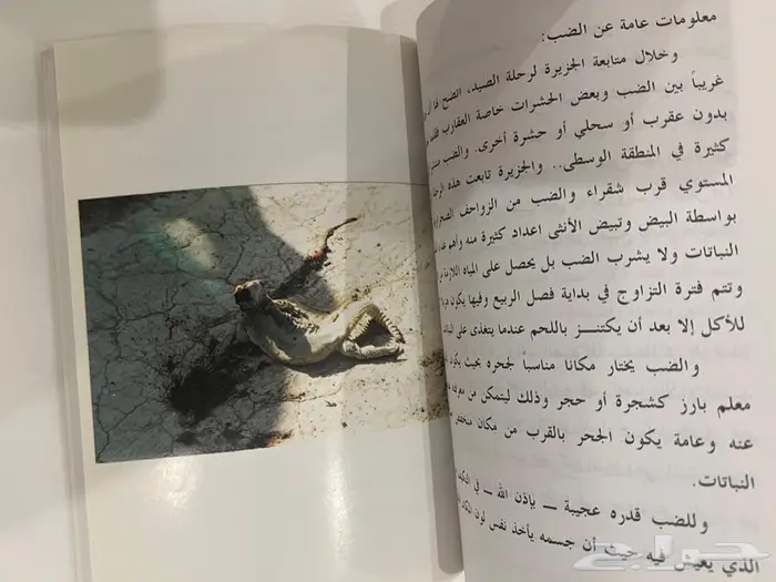 كتاب المستحب مما قيل في الضب 4