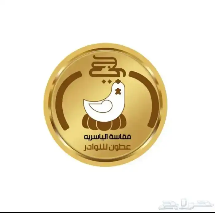 فقاسات الياسريه 6